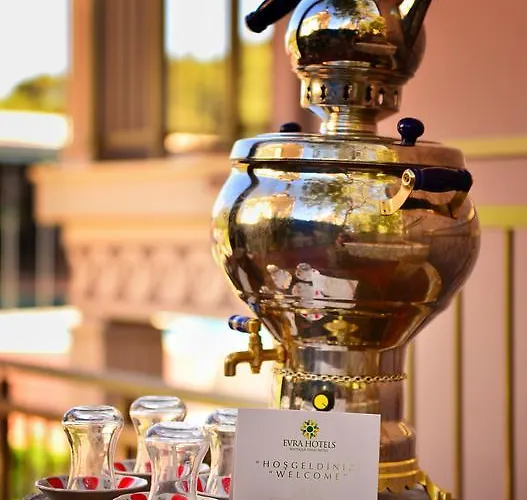 Hotel Evra 3*